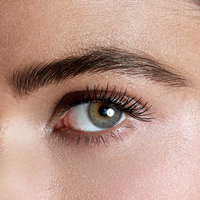 Lashes & Browns